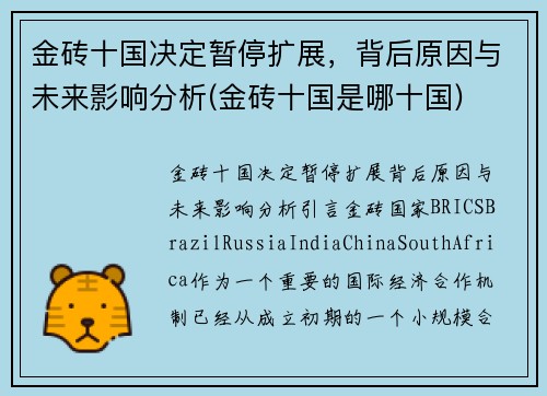 金砖十国决定暂停扩展,背后原因与未来影响分析(金砖十国是哪十国)