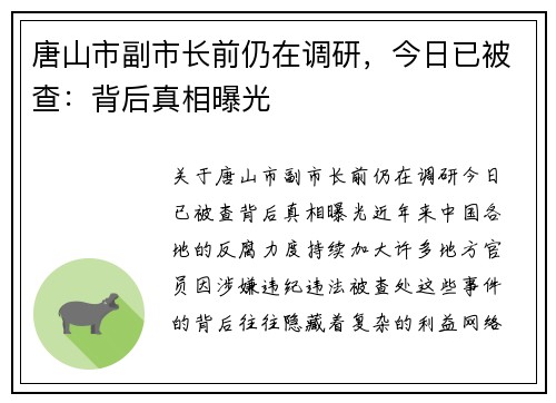 唐山市副市长前仍在调研，今日已被查：背后真相曝光
